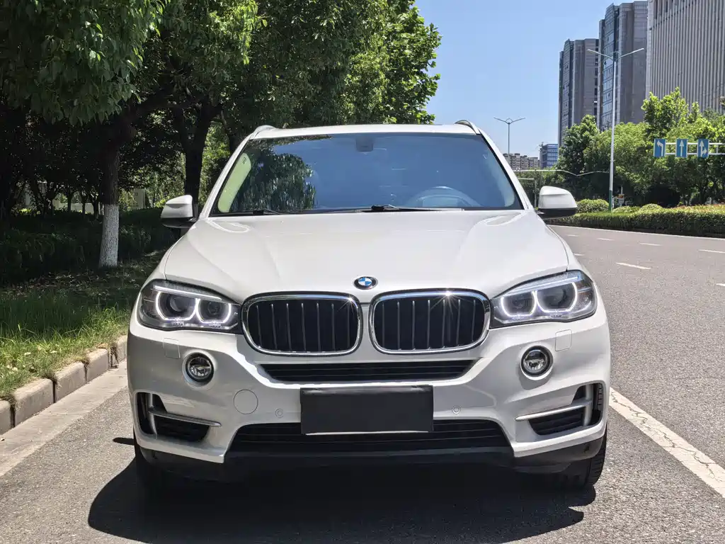 BMW X5 2014 xDrive35i Lead
