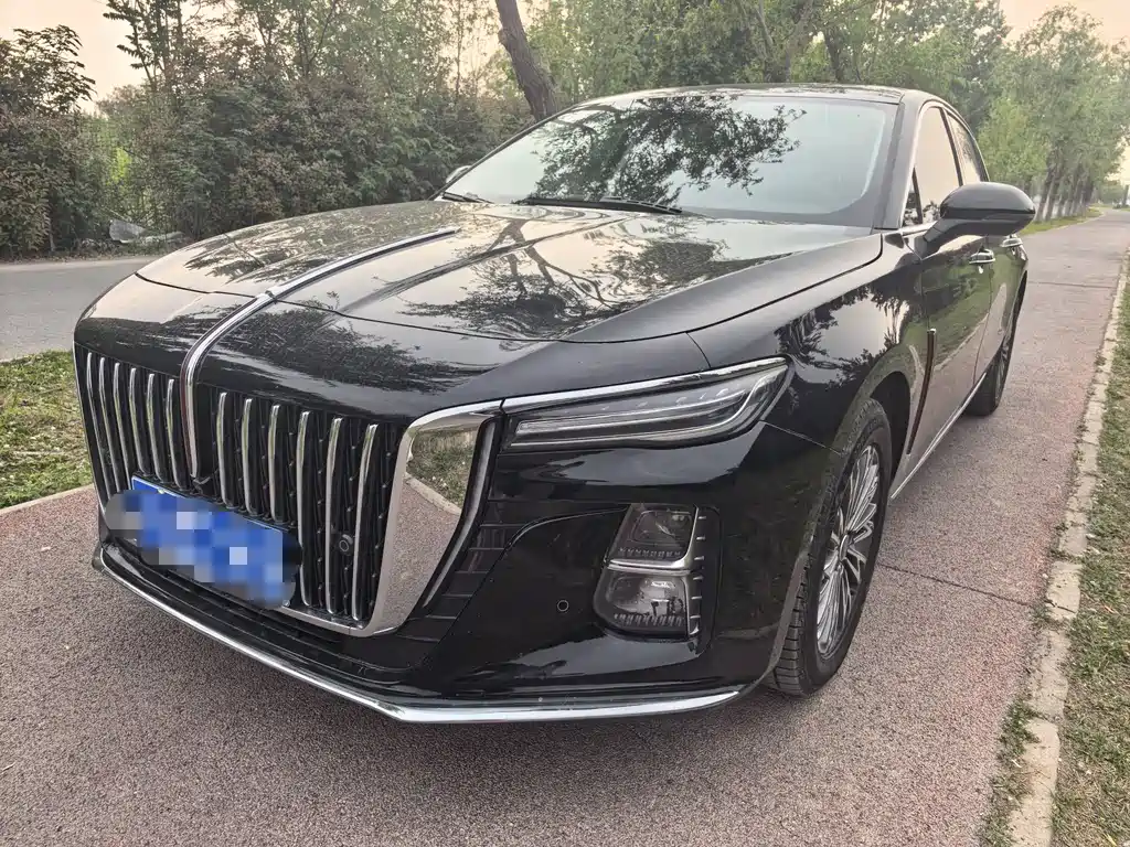 Hongqi Hongqi H5 2025