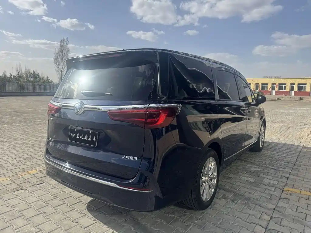 Buick GL8 2020 Avenir мест