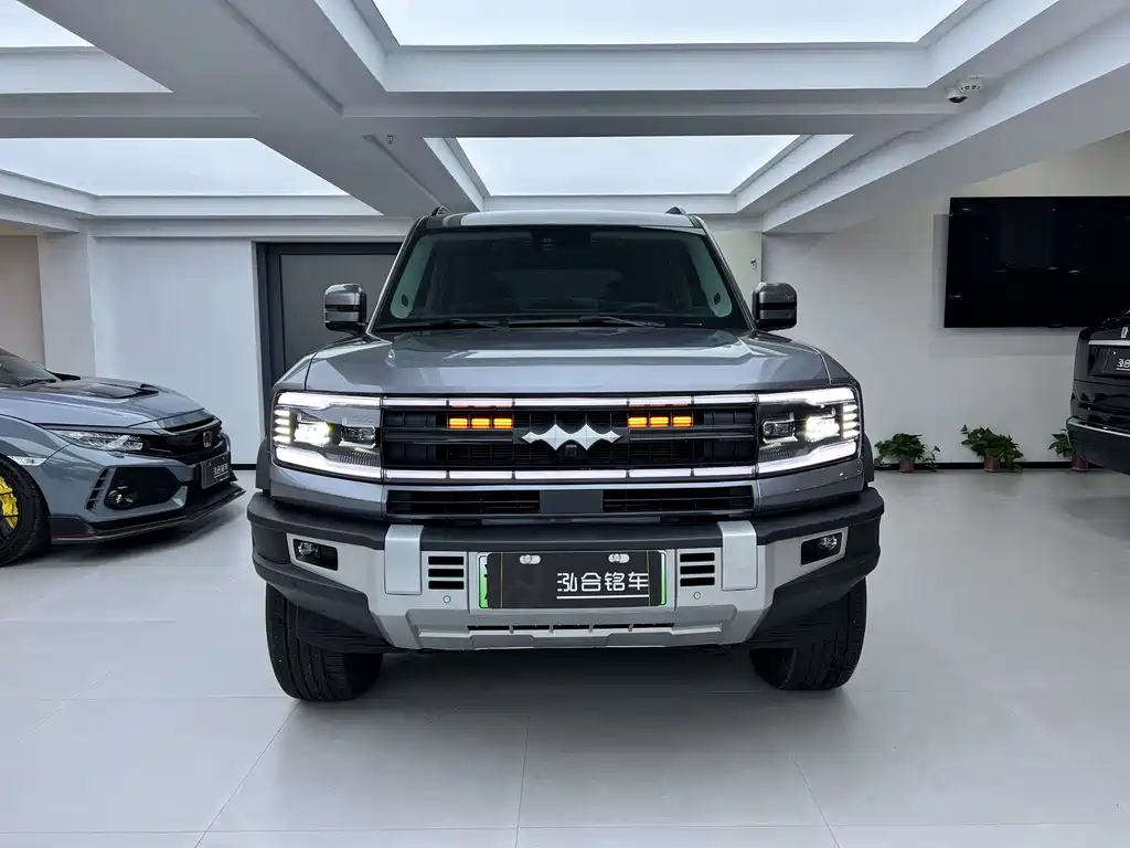 FANG CHENG BAO LEOPARD 5