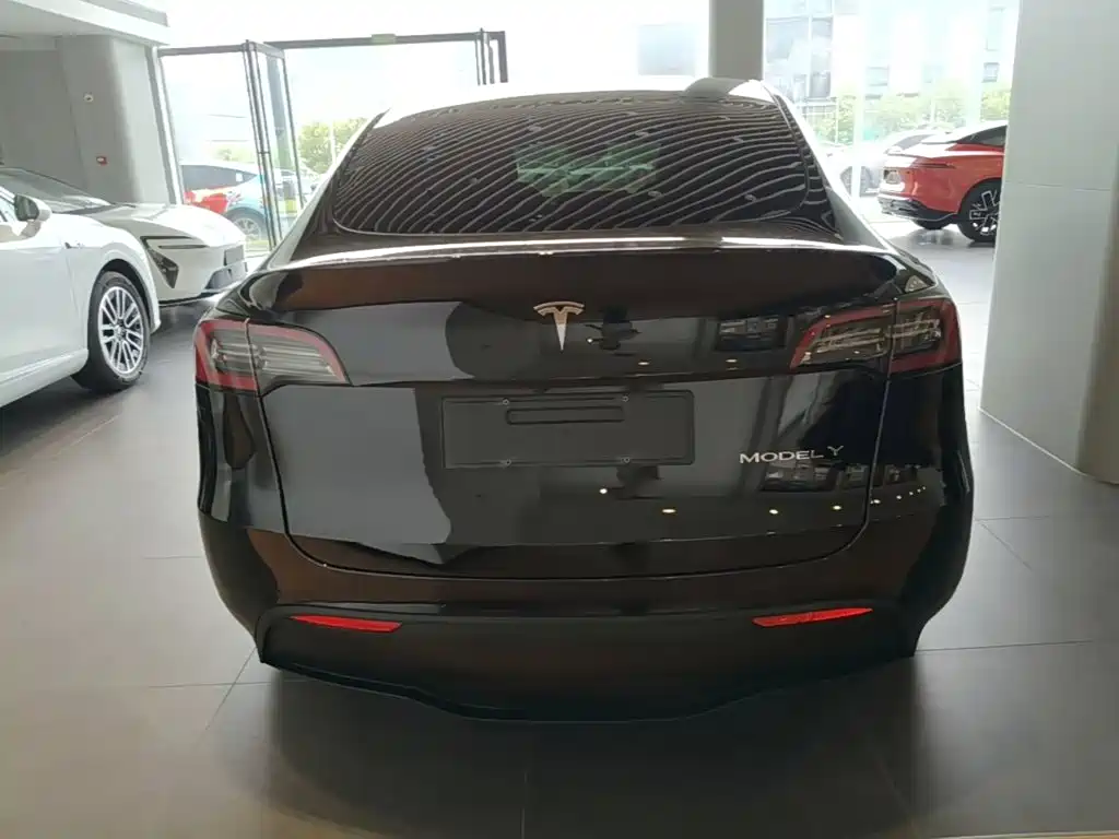 Tesla Model Y 2022 Performance