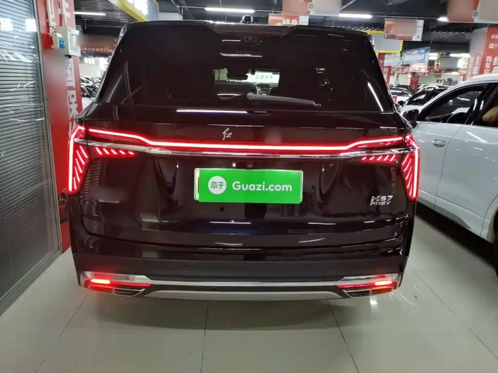 Hongqi Hongqi HS7 PHEV — миниатюра 6