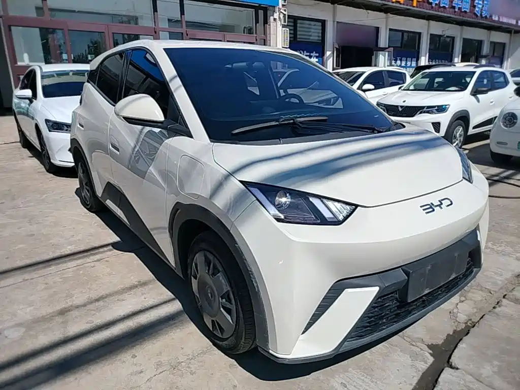 BYD Seagull 2024 305km