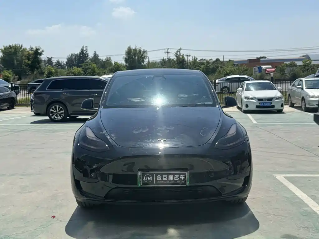 Tesla Model Y — миниатюра 2