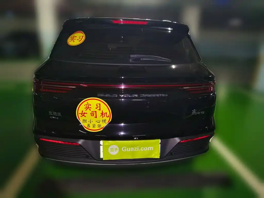 BYD Pro New Energy — миниатюра 5