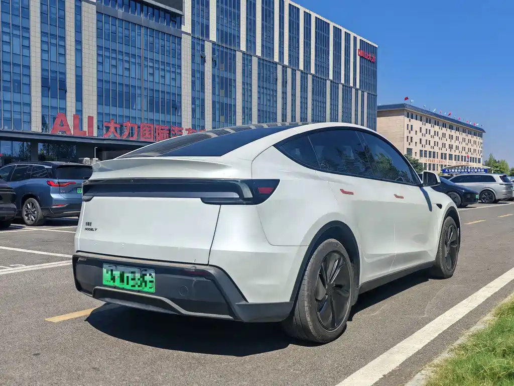 Tesla Model Y — миниатюра 7