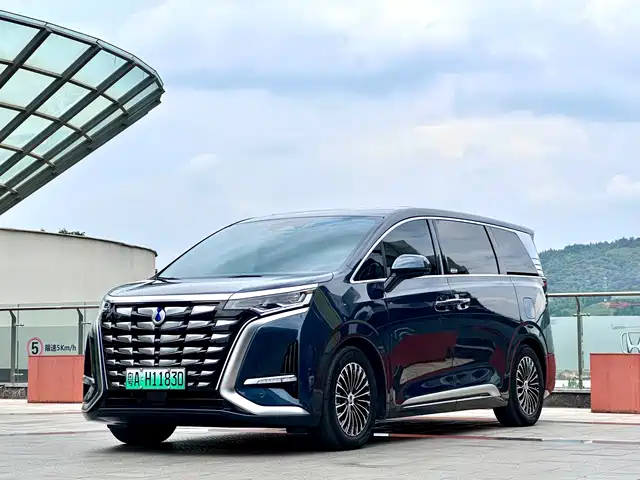 2023 Denza D9