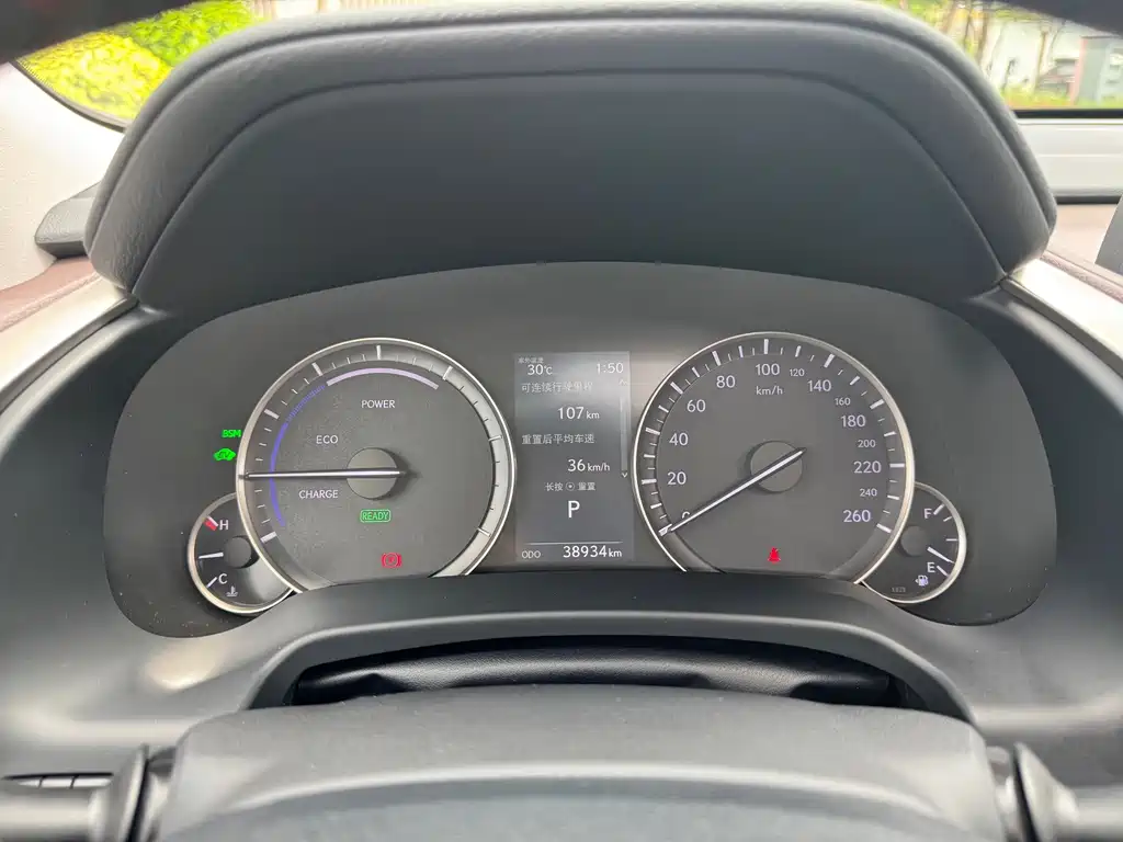 Lexus RX — миниатюра 13