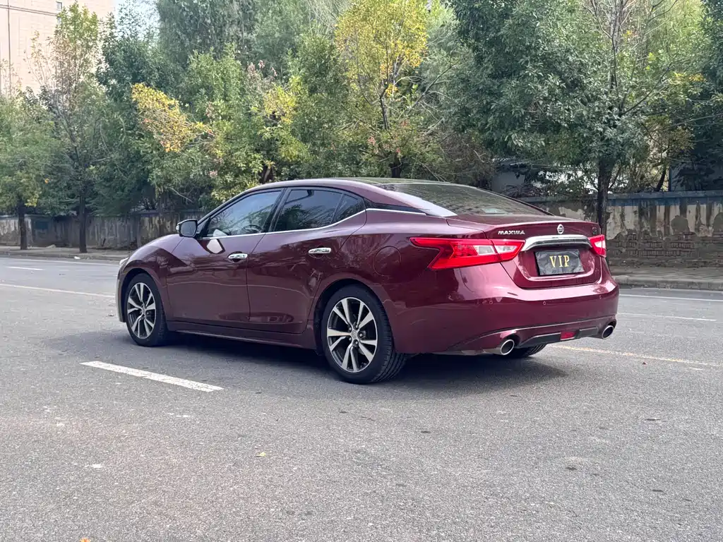 Nissan Cima — миниатюра 15