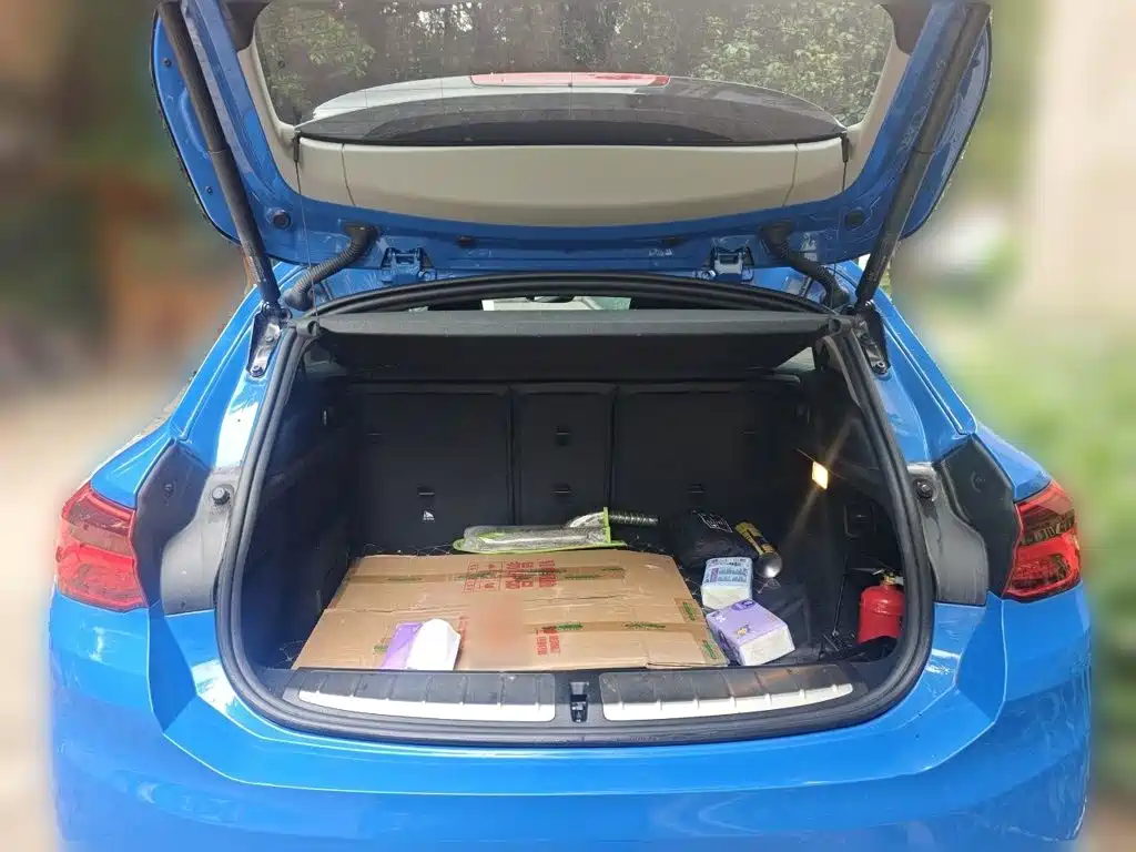BMW X2 (Import) — миниатюра 10