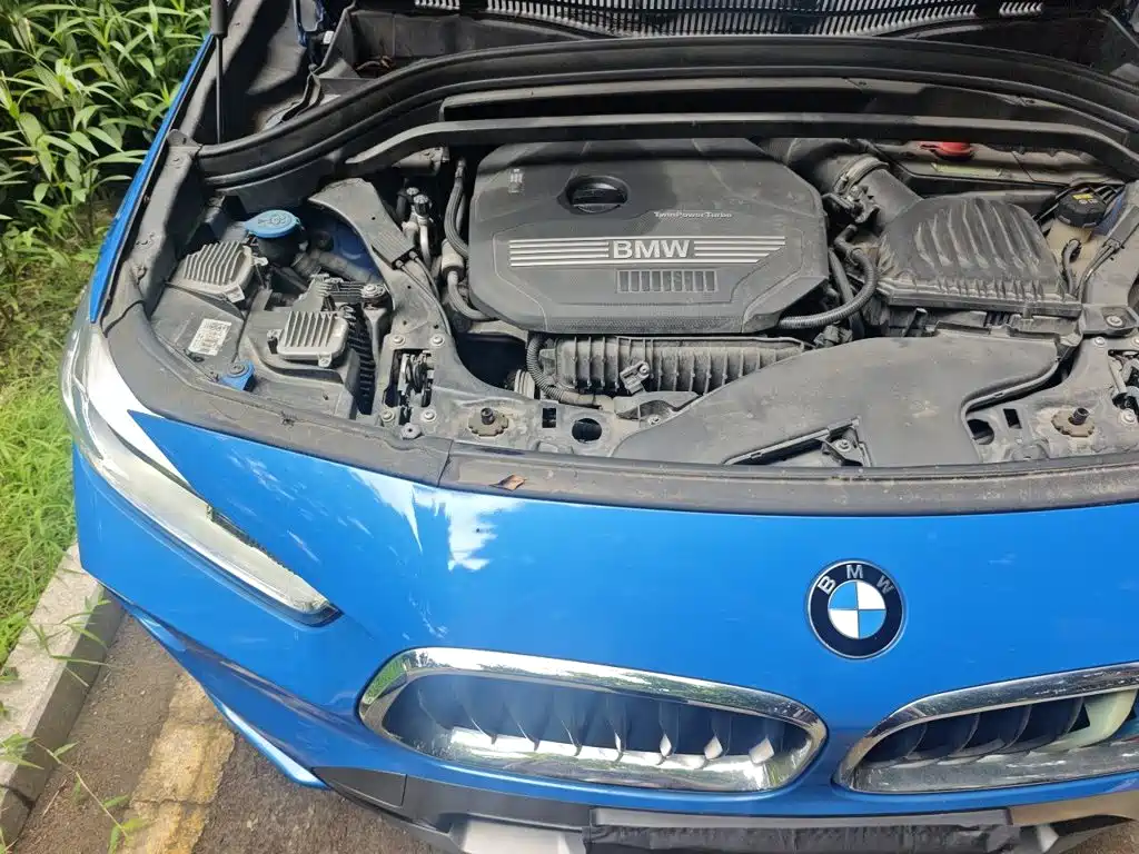 BMW X2 (Import) — миниатюра 21