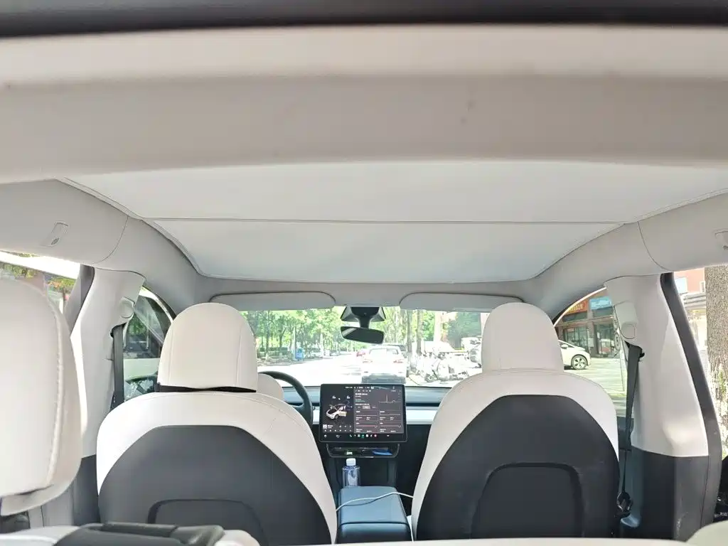 Tesla Model Y — миниатюра 20
