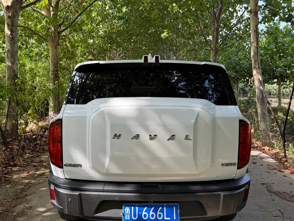 Haval Cool Dog — миниатюра 5