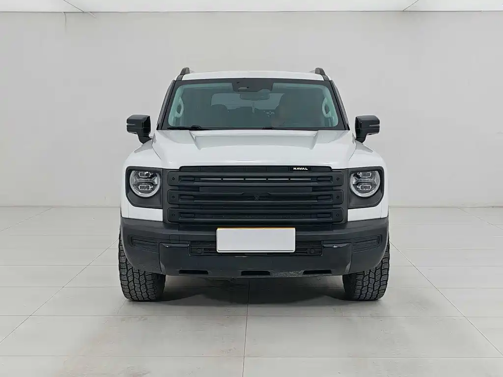 Haval Menglong New Energy — миниатюра 2