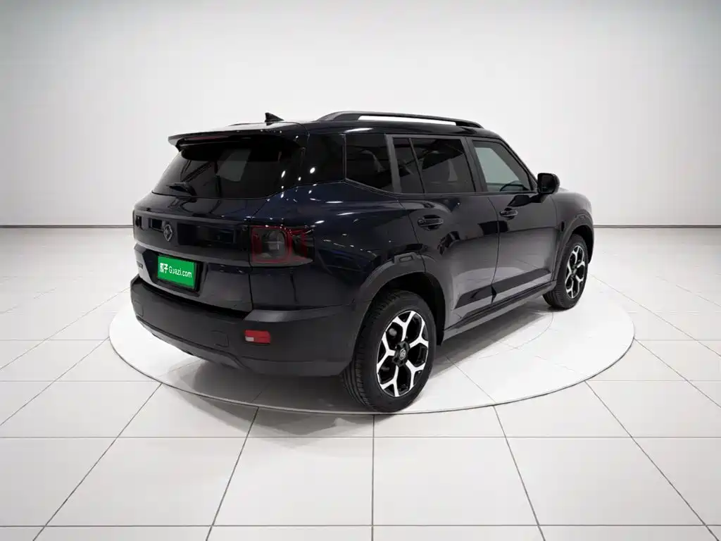 Shanhai Shanhai T1 — миниатюра 4