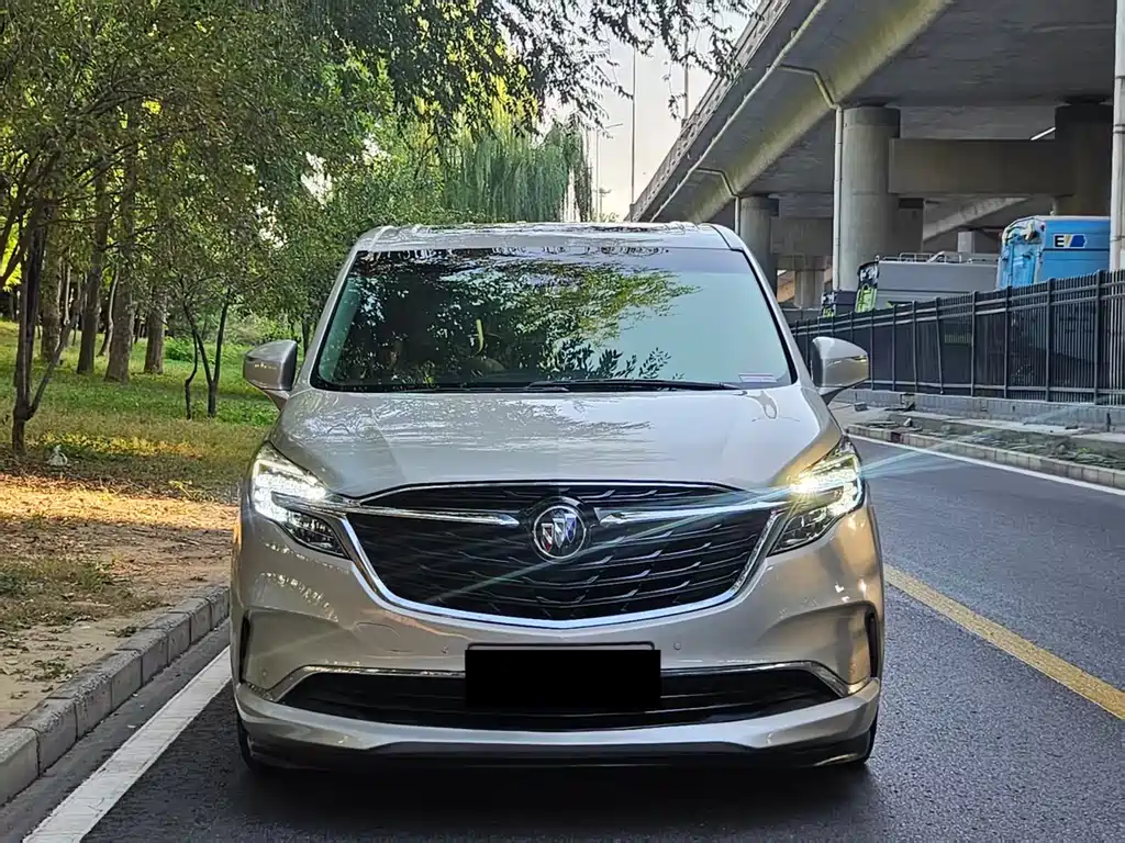 Buick GL8 — миниатюра 2