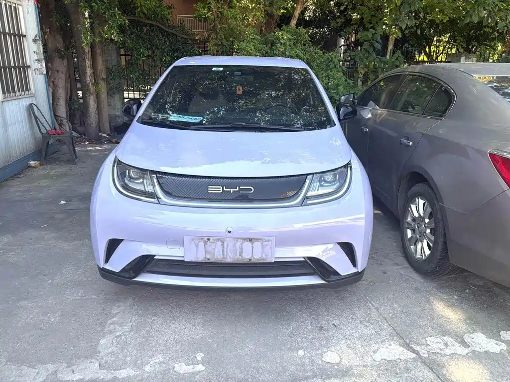 BYD Dolphin