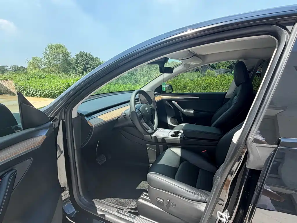 Tesla Model Y — миниатюра 4
