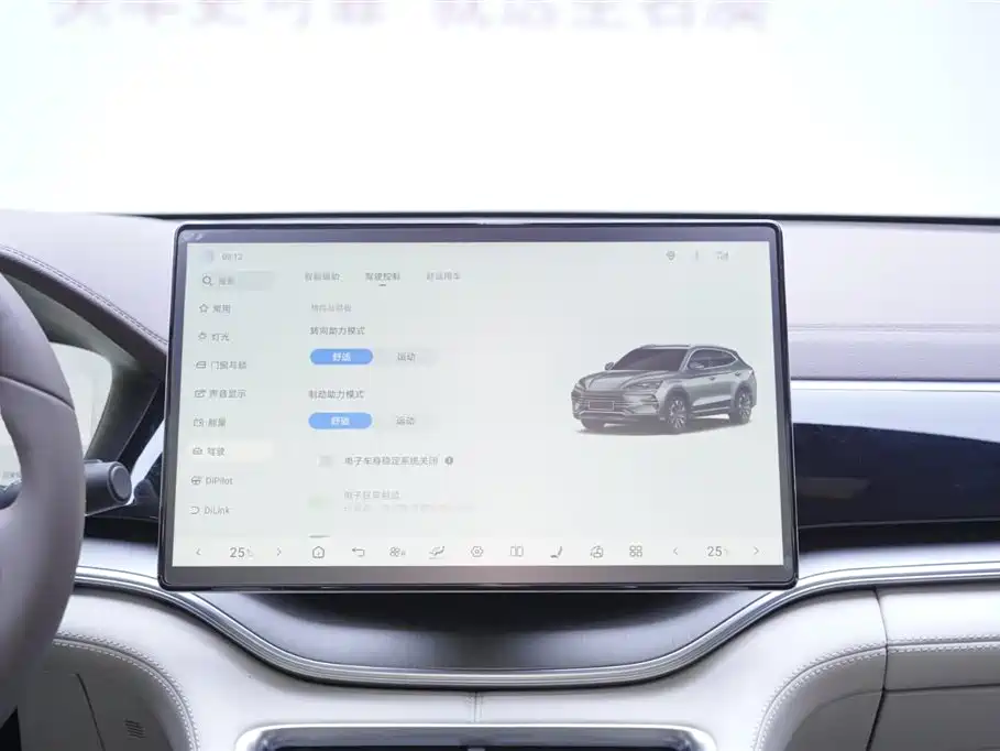 BYD SONGJIANG NEW ENERGY