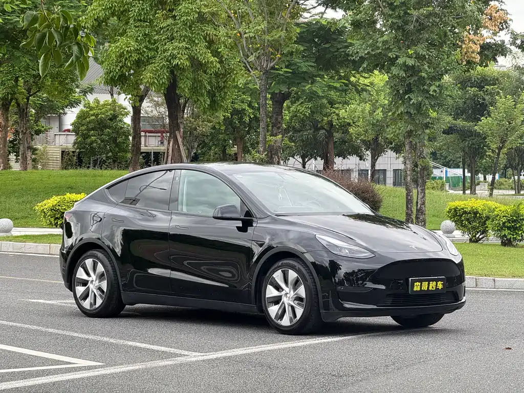 Tesla Model Y — миниатюра 2