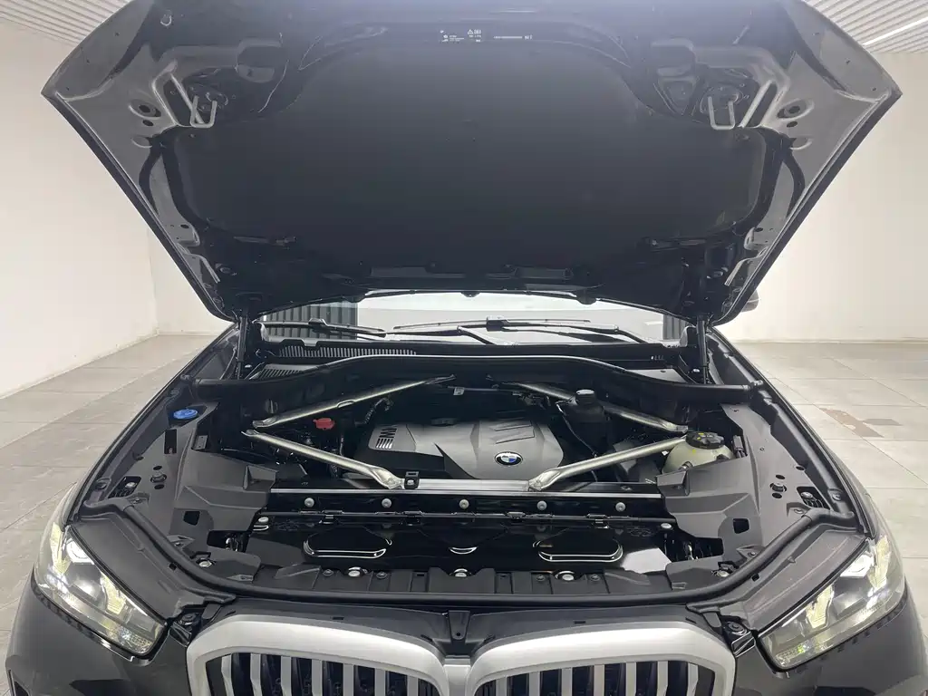 BMW X5 — миниатюра 9