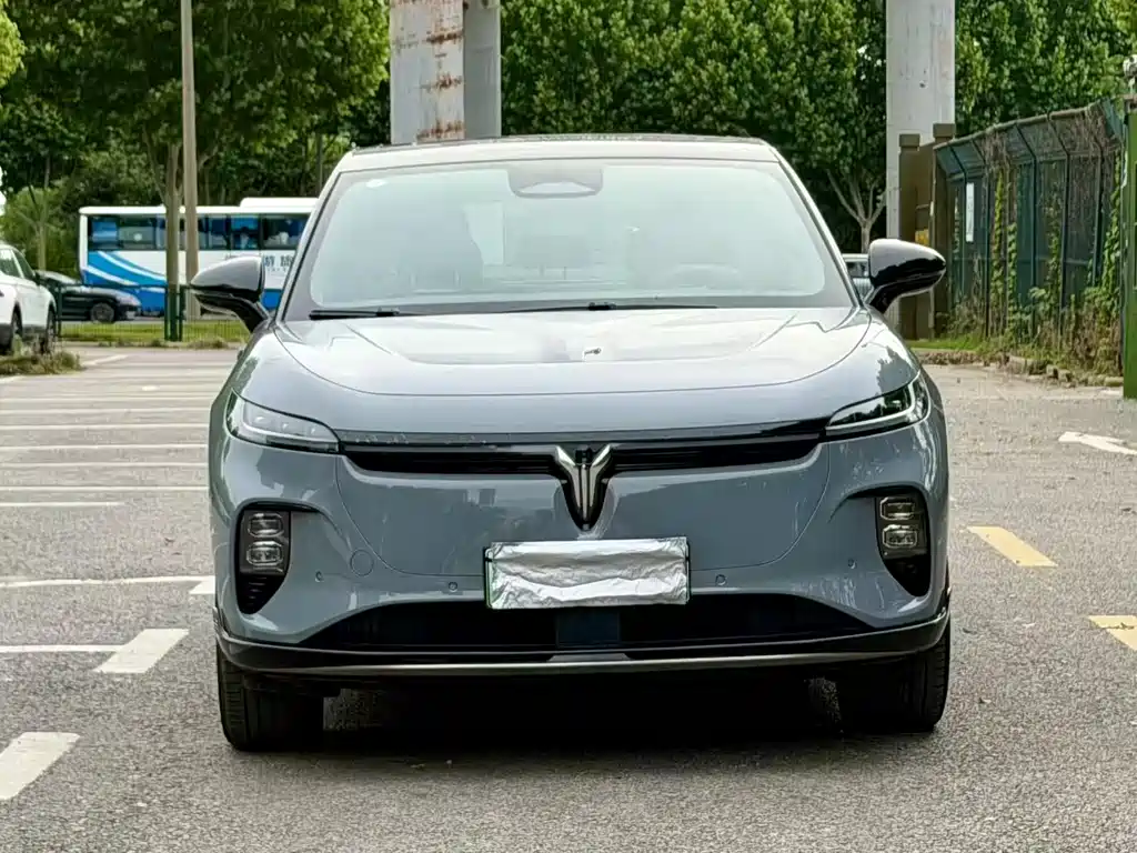 Voyah Zhiyin 2024