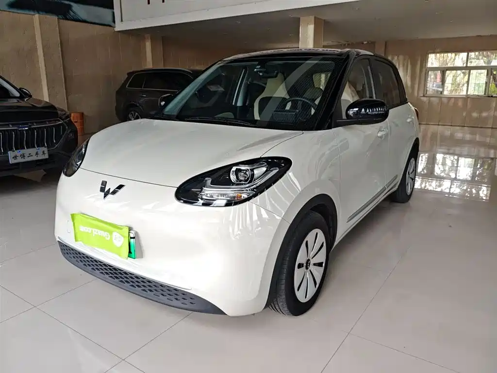 Wuling Bingo 2024