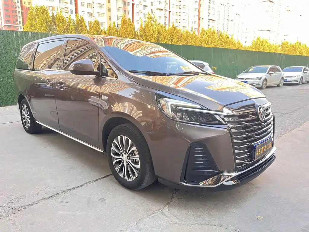 Buick GL8 — миниатюра 3