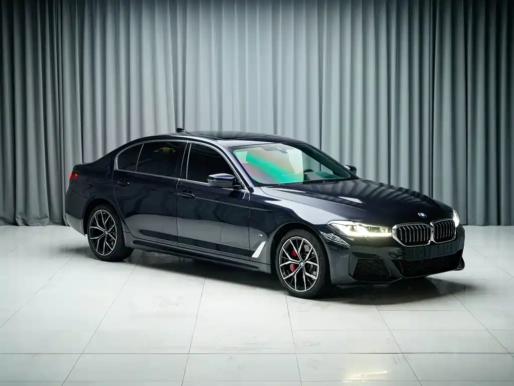 BMW 5 Series — миниатюра 3