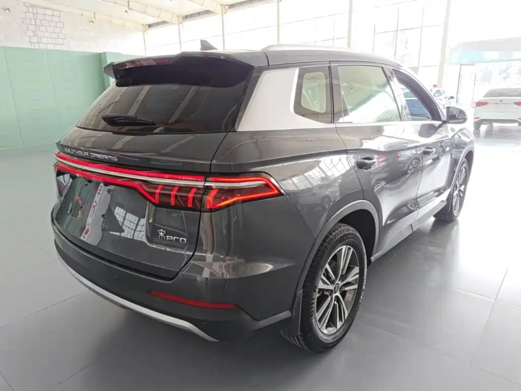BYD Pro — миниатюра 5