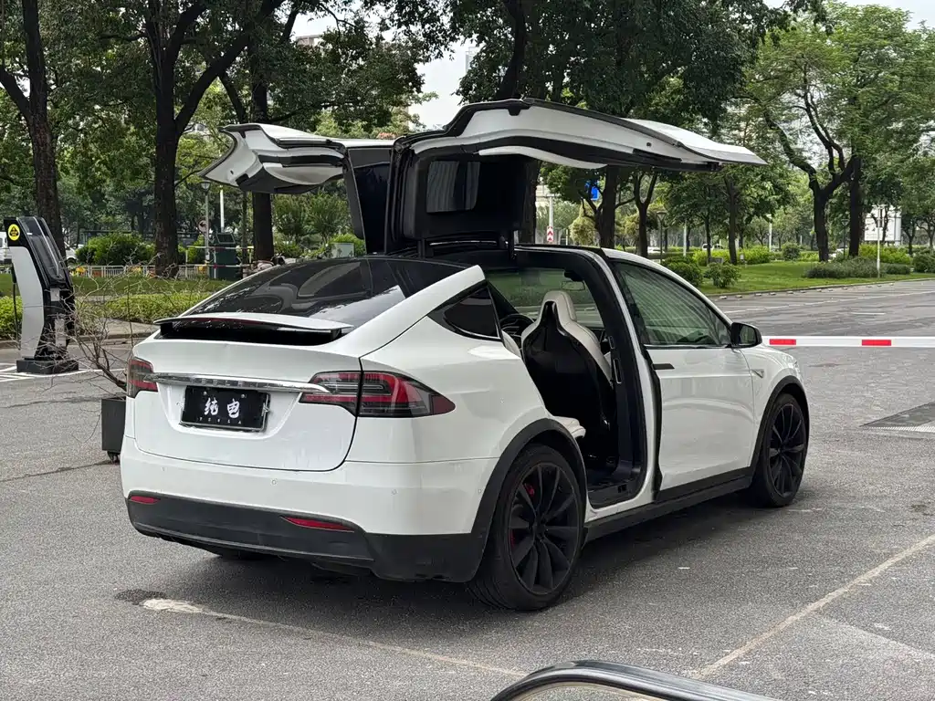Tesla Model X — миниатюра 3