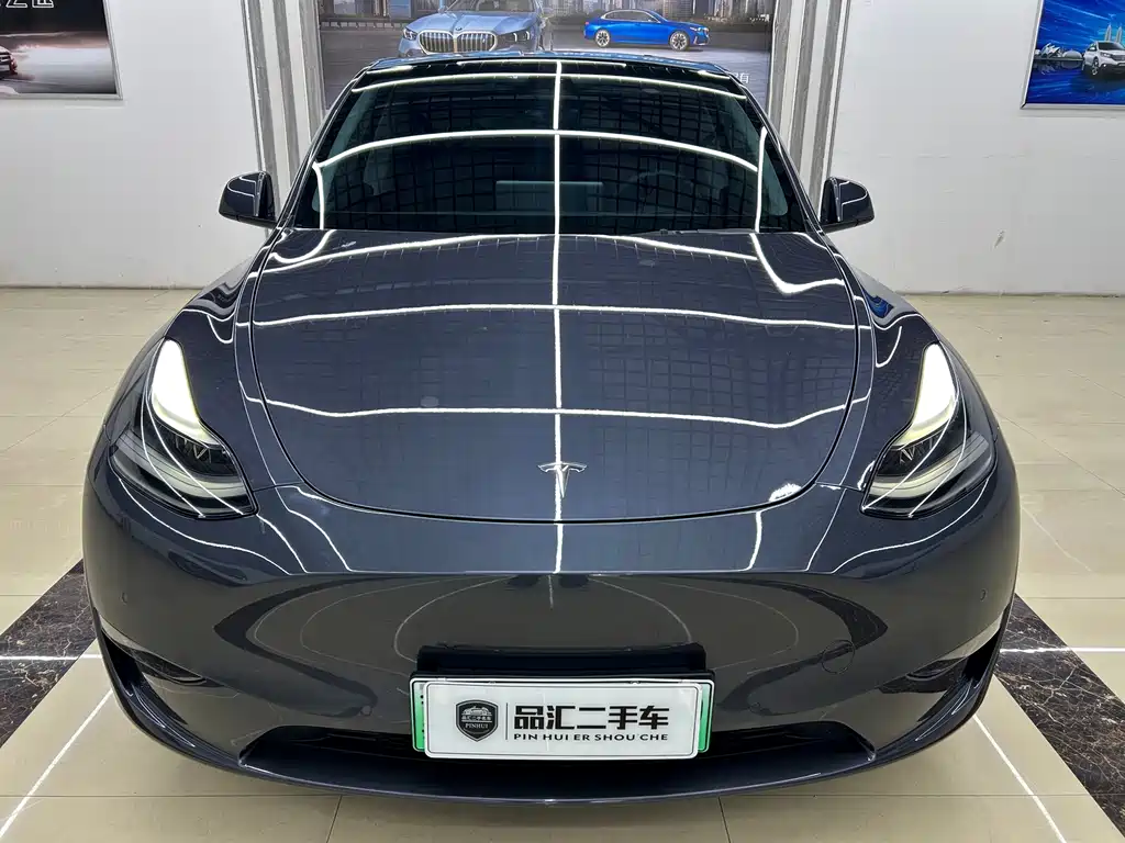 Tesla Model Y — миниатюра 2