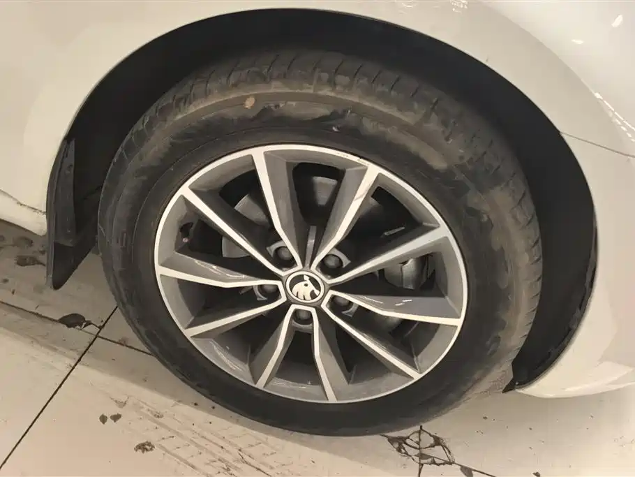 Skoda Octavia 2020 1.5L AT Luxury