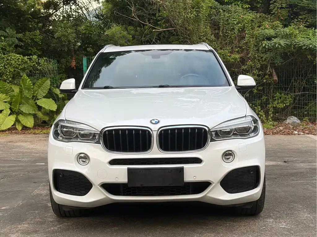 BMW X5 — фотографии объявления, Фото 19
