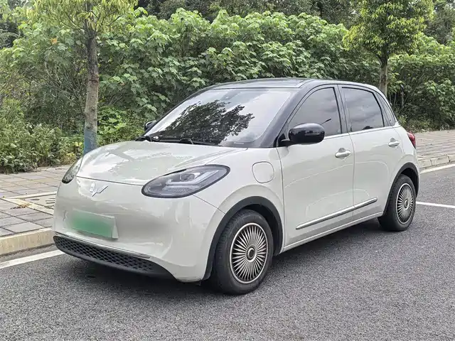 WULING AUTOMOBILE WULING BINGGUO 2023