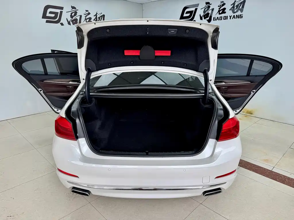 BMW 5 Series — миниатюра 23