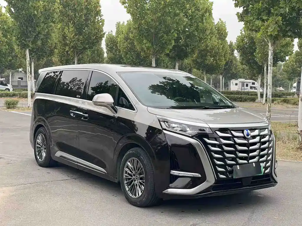 Denza Denza D9 — миниатюра 3
