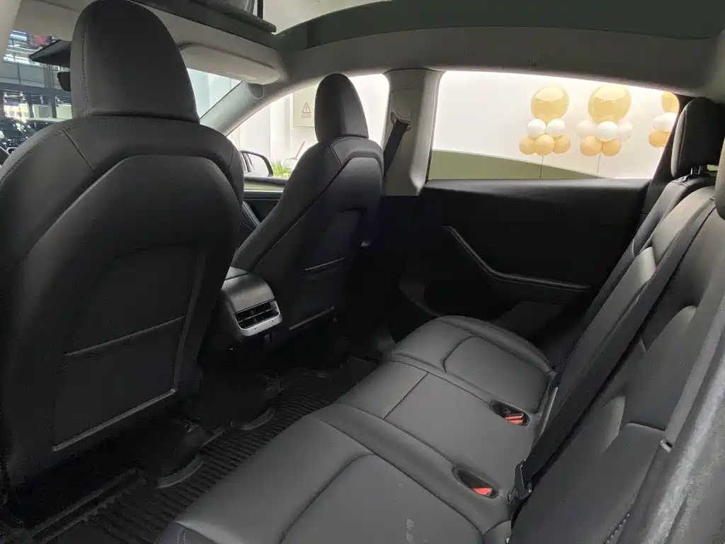 Tesla Model Y — миниатюра 24