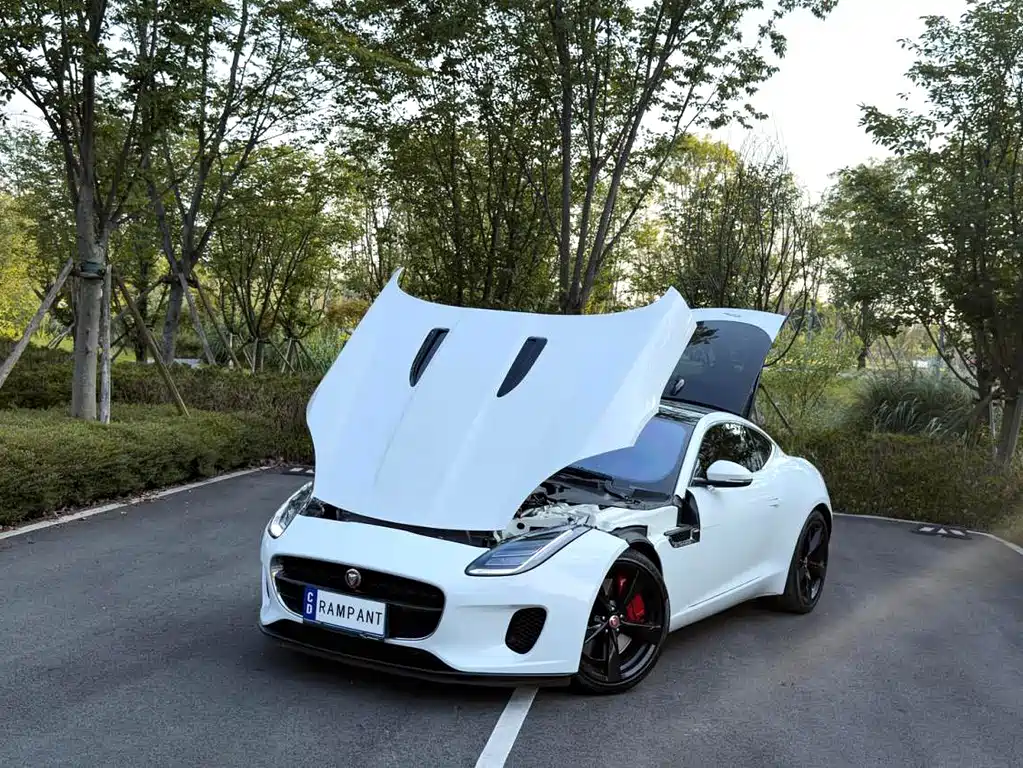 Jaguar F-TYPE — миниатюра 2