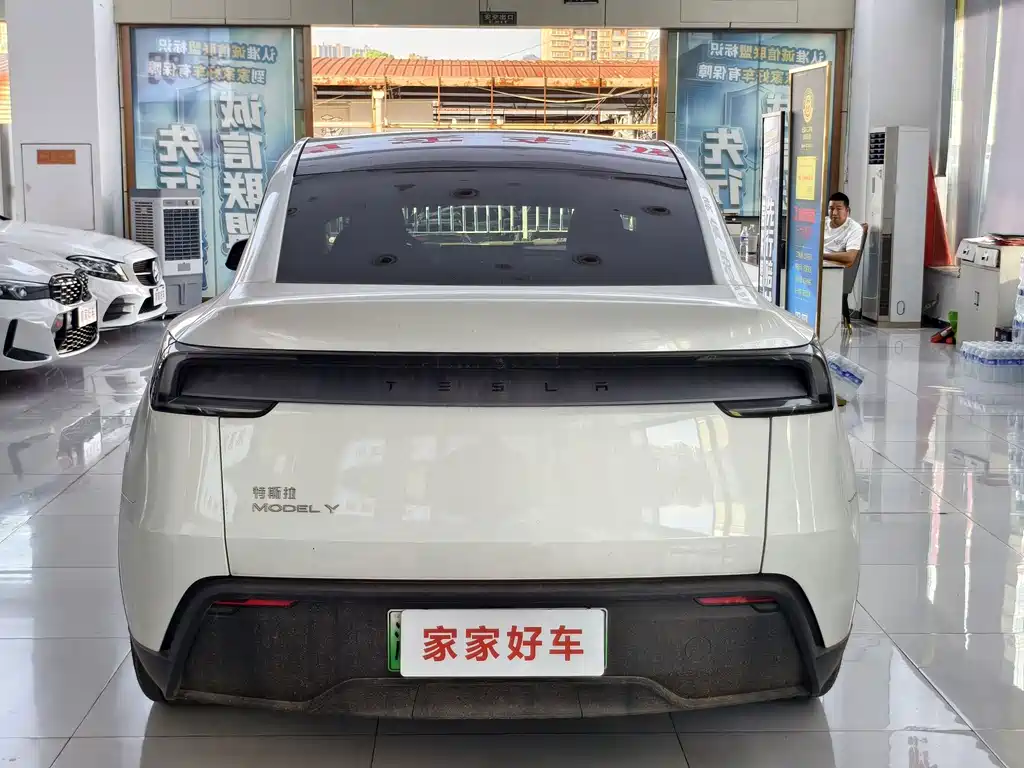 Tesla Model Y — миниатюра 7
