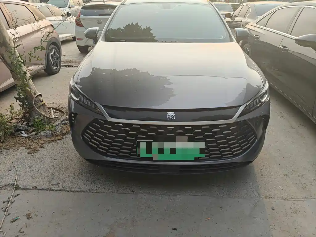 BYD Qin Plus PLUS 2025 DM-i Smart Drive 55KM Lead