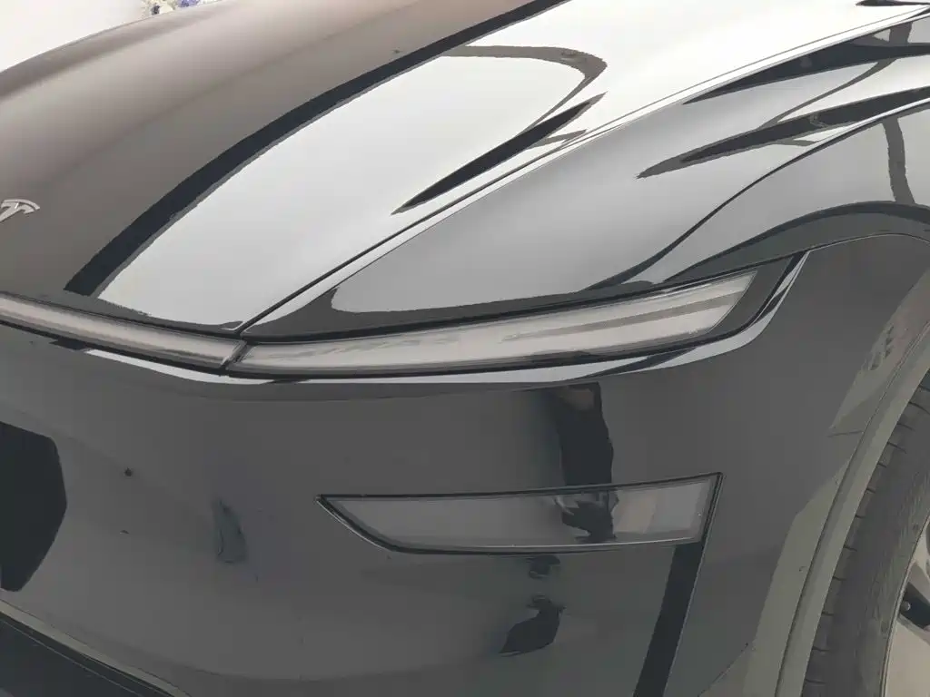 Tesla Model Y — миниатюра 12