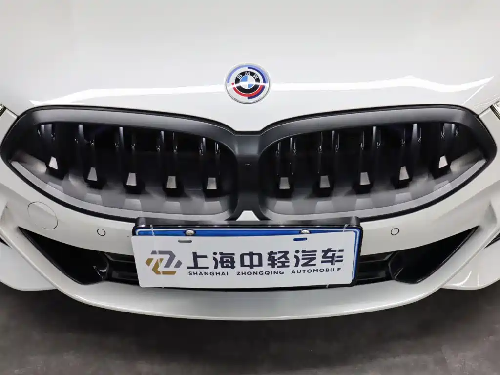 BMW 8 Series — миниатюра 7