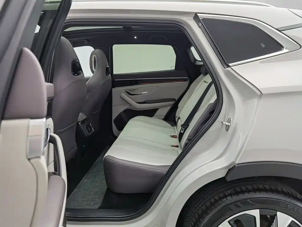 BYD PLUS New Energy — миниатюра 15