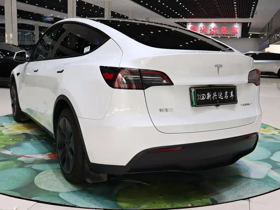 Tesla Model Y — миниатюра 4