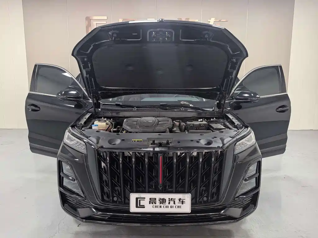 Hongqi Hongqi HS5 — миниатюра 17