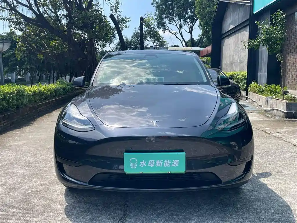 Tesla Model Y — миниатюра 2