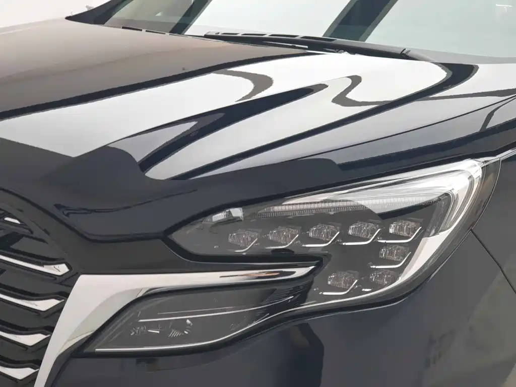 Buick GL8 — миниатюра 12
