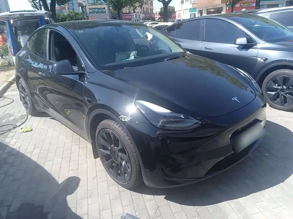 Tesla Model Y — миниатюра 4