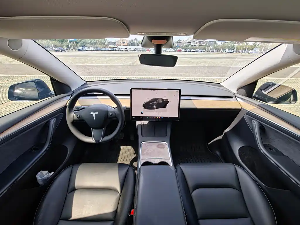 Tesla Model Y — миниатюра 2